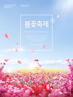 TODAY UPDATE_봄꽃축제